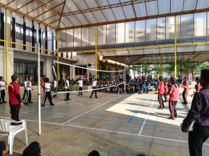 Volleyball